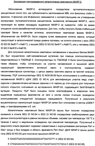 Способ лечения заболеваний, связанных с masp-2-зависимой активацией комплемента (варианты) (патент 2484097)