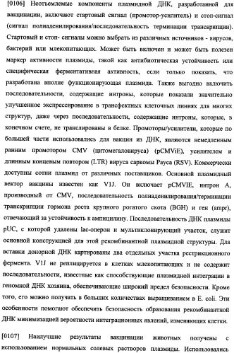 Иммуногенная композиция и способ разработки вакцины, основанной на участках связывания фактора н (патент 2364413)