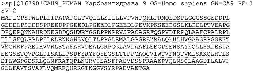 Новые конъюгаты связывающее соединение - активное соединение (adc) и их применение (патент 2610336)