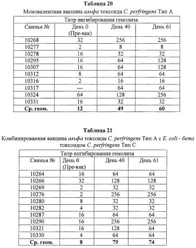 Вакцина альфа токсоида с.perfringens (патент 2434638)