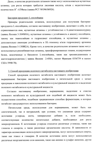 Способ конструирования оперонов, содержащих трансляционно сопряженные гены (патент 2411292)