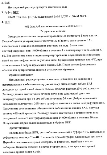 Композиции вакцин, содержащие наборы антигенов в виде амилоида бета 1-6 (патент 2450827)