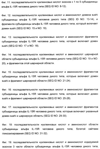 Соединение, предназначенное для стимуляции пути передачи сигнала через il-15rбета/гамма, с целью индуцировать и/или стимулировать активацию и/или пролиферацию il-15rбета/гамма-положительных клеток, таких как nk-и/или t-клетки, нуклеиновая кислота, кодирующая соединение, вектор экспрессии, клетка-хозяин, адъювант для иммунотерапевтической композиции, фармацевтическая композиция и лекарственное средство для лечения состояния или заболевания, при котором желательно повышение активности il-15, способ in vitro индукции и/или стимуляции пролиферации и/или активации il-15rбета/гамма-положительных клеток и способ получения in vitro активированных nk-и/или t-клеток (патент 2454463)