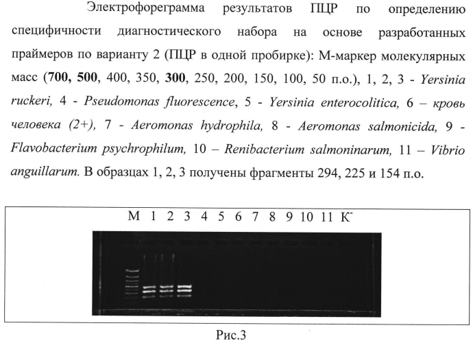 Способ диагностики йерсиниоза лососевых рыб, вызываемого yersinia ruckeri, методом полимеразной цепной реакции и диагностический набор для осуществления способа (патент 2560570)