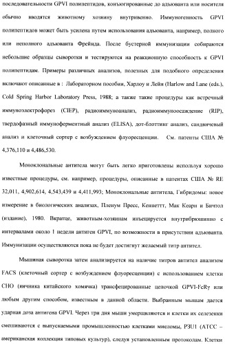 Антитела к гликопротеину vi и способы продуцирования и использования этих антител (патент 2407752)