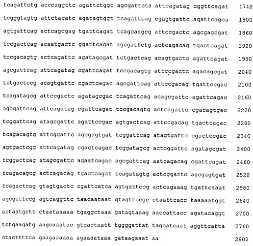 Иммуногенные композиции антигенов staphylococcus aureus (патент 2536981)