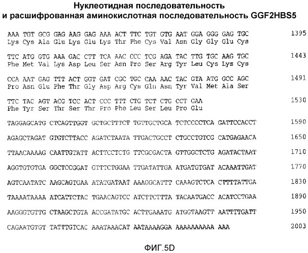 Способ обеспечения требуемых уровней фактора 2 роста глии в плазме (патент 2530650)