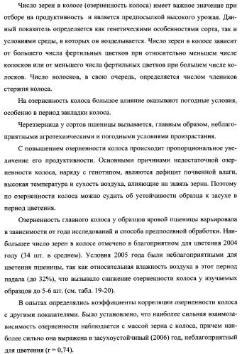 Способ возделывания яровой пшеницы предпочтительно в зоне светло-каштановых почв нижнего поволжья (варианты) (патент 2348137)