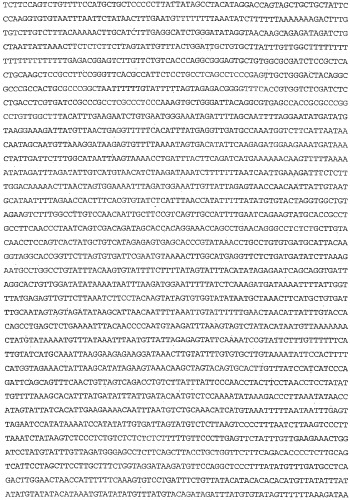 Применение s1p (патент 2362565)