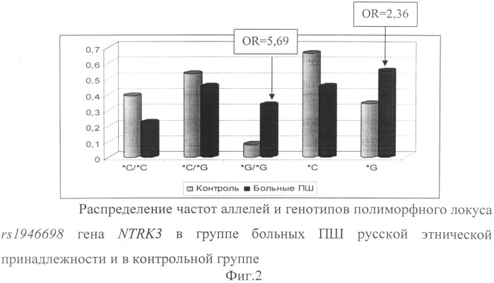 Способ прогнозирования риска развития параноидной шизофрении (патент 2506595)