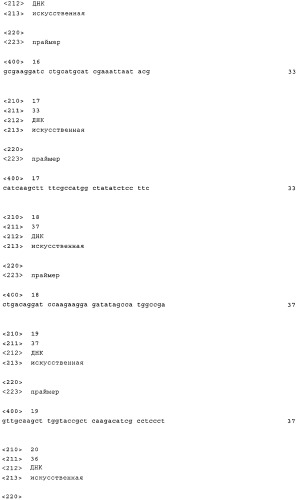 Нитрилгидратаза из rhodococcus (патент 2385932)