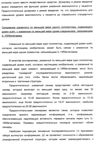 Соединение, предназначенное для стимуляции пути передачи сигнала через il-15rбета/гамма, с целью индуцировать и/или стимулировать активацию и/или пролиферацию il-15rбета/гамма-положительных клеток, таких как nk-и/или t-клетки, нуклеиновая кислота, кодирующая соединение, вектор экспрессии, клетка-хозяин, адъювант для иммунотерапевтической композиции, фармацевтическая композиция и лекарственное средство для лечения состояния или заболевания, при котором желательно повышение активности il-15, способ in vitro индукции и/или стимуляции пролиферации и/или активации il-15rбета/гамма-положительных клеток и способ получения in vitro активированных nk-и/или t-клеток (патент 2454463)