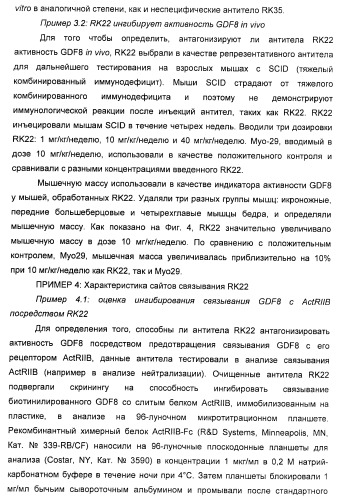 Антитела к gdf8 и их применения (патент 2447084)