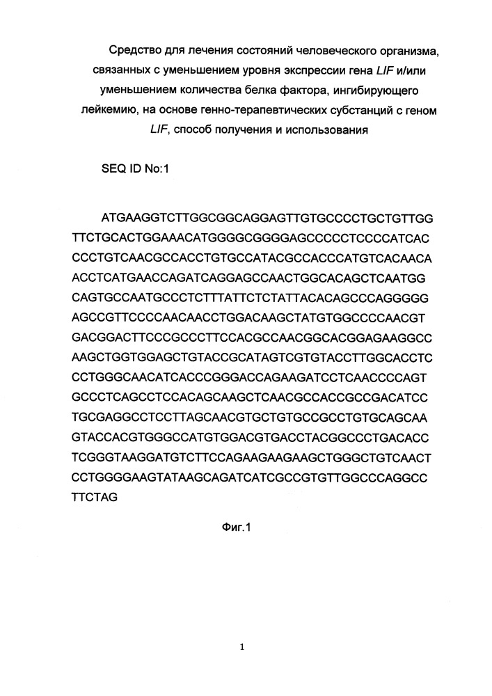 Средство для лечения состояний человеческого организма, связанных с уменьшением уровня экспрессии гена lif и/или уменьшением количества белка фактора, ингибирующего лейкемию, на основе генно-терапевтических субстанций с геном lif, способ получения и использования (патент 2653487)
