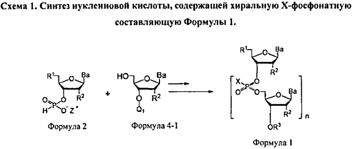 Способ синтеза модифицированных по атому фосфора нуклеиновых кислот (патент 2572826)