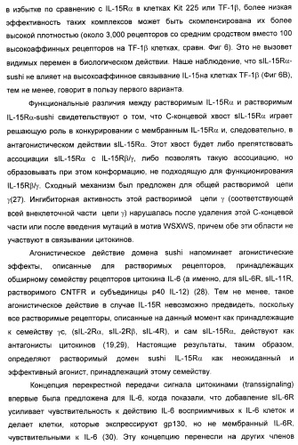 Соединение, предназначенное для стимуляции пути передачи сигнала через il-15rбета/гамма, с целью индуцировать и/или стимулировать активацию и/или пролиферацию il-15rбета/гамма-положительных клеток, таких как nk-и/или t-клетки, нуклеиновая кислота, кодирующая соединение, вектор экспрессии, клетка-хозяин, адъювант для иммунотерапевтической композиции, фармацевтическая композиция и лекарственное средство для лечения состояния или заболевания, при котором желательно повышение активности il-15, способ in vitro индукции и/или стимуляции пролиферации и/или активации il-15rбета/гамма-положительных клеток и способ получения in vitro активированных nk-и/или t-клеток (патент 2454463)