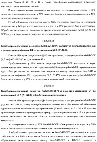 Способ идентификации соединений, взаимодействующих с трансмембранными белками (патент 2326166)