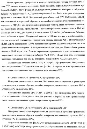 Вариант еро, обладающий повышенным сродством связывания с рецептором и сниженным антигенным потенциалом, днк, кодирующая такой вариант еро, рекомбинантный экспрессионный вектор, содержащий такую днк, клетка-хозяин, трансформированная или трансфектированная таким вектором, способ получения такого варианта еро и фармацевтическая композиция, содержащая такой вариант еро (патент 2432360)