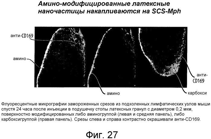 Никотиновые иммунонанотерапевтические лекарственные средства (патент 2487712)