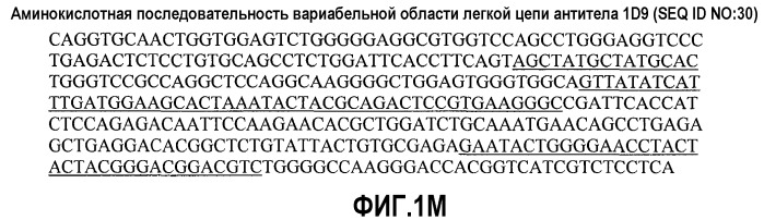 Антитела против альфа5-бета 1 и их применение (патент 2528736)