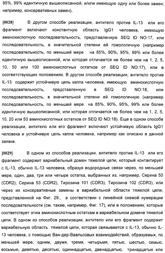 Антитела против интерлейкина-13 человека и их применение (патент 2427589)