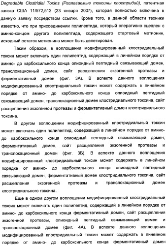 Способы лечения мочеполовых-неврологических расстройств с использованием модифицированных клостридиальных токсинов (патент 2491086)