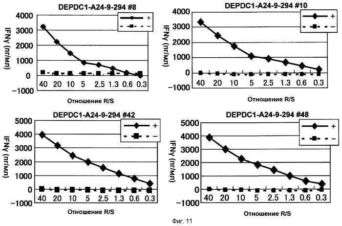 Пептидные вакцины против рака с экспрессией полипептидов mphosph1 или depdc1 (патент 2469044)