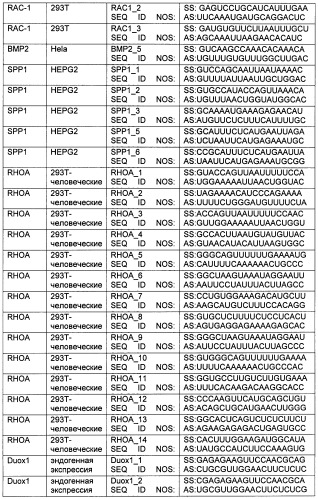 Новые структуры малых интерферирующих рнк (sirna) (патент 2487716)