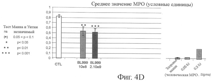 Применение bifidobacterium longum в производстве лекарственного средства или терапевтической питательной композиции для лечения воспалительного заболевания кишечника у млекопитающего и для ослабления воспаления кишечника, связанного с пищевыми аллергенами, у млекопитающего (патент 2445362)