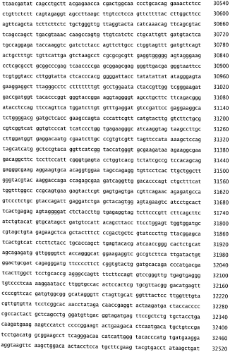Бактериофаг, обладающий активностью против pseudomonas aeruginosa, белки бактериофага и способы их применения (патент 2580248)