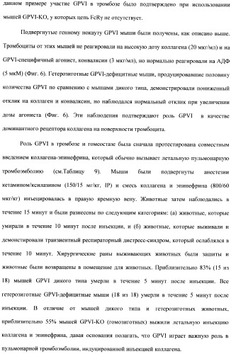 Антитела к гликопротеину vi и способы продуцирования и использования этих антител (патент 2407752)