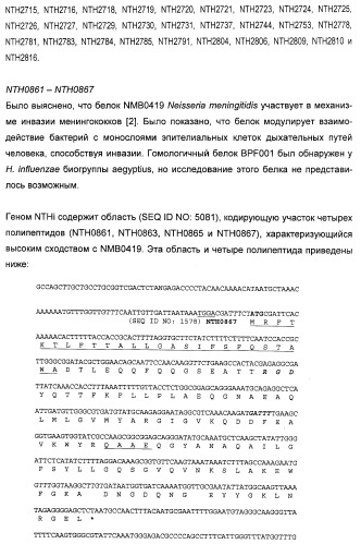 Полипептиды нетипируемой haemophilus influenzae (патент 2432357)