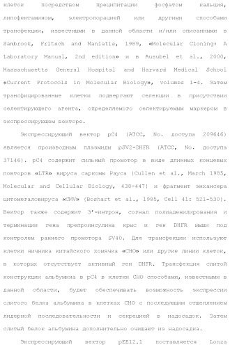 Слитые белки альбумина (патент 2369404)