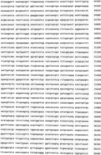Бактериофаг, обладающий активностью против pseudomonas aeruginosa, белки бактериофага и способы их применения (патент 2580248)