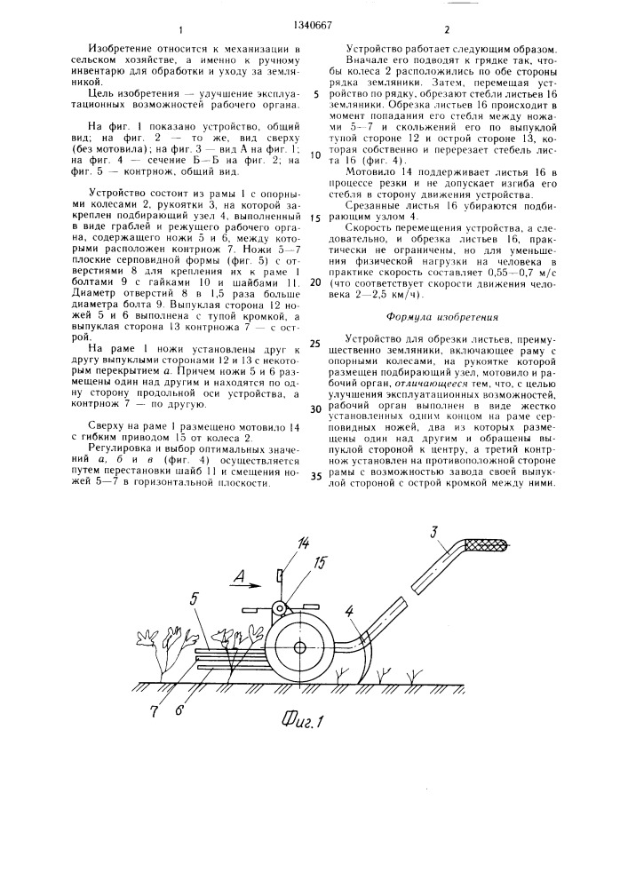 Устройство г.м.вергелеса для обрезки листьев (патент 1340667)
