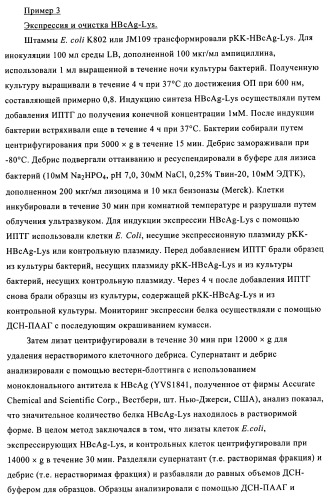 Композиции вакцин, содержащие наборы антигенов в виде амилоида бета 1-6 (патент 2450827)