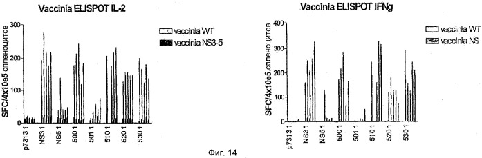 Вакцина против hcv (патент 2323744)