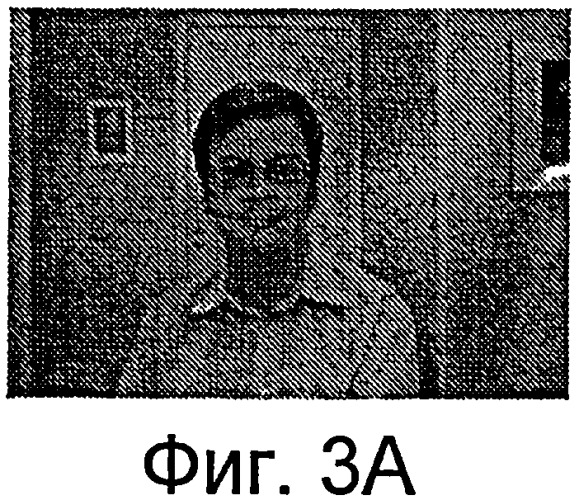 Фотокамера и способ, выполняемый в фотокамере (патент 2428811)