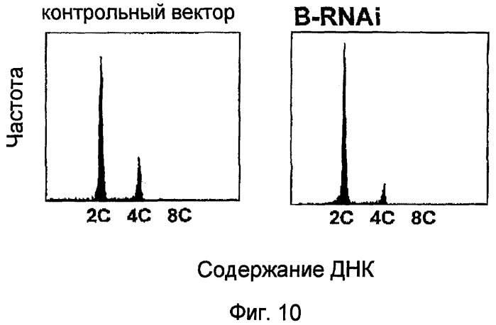 Растительные клетки и организмы растений с модифицированным клеточным ростом, развитием и дифференцировкой (патент 2349642)