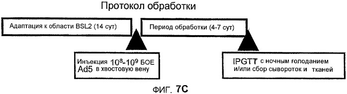 Новый пептид, участвующий в энергетическом гомеостазе (патент 2409590)