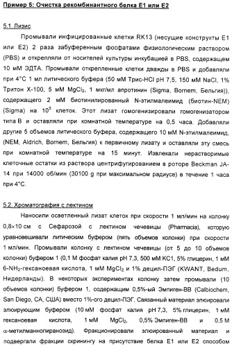 Очищенные оболочечные белки вируса гепатита с для диагностического и терапевтического применения (патент 2319505)