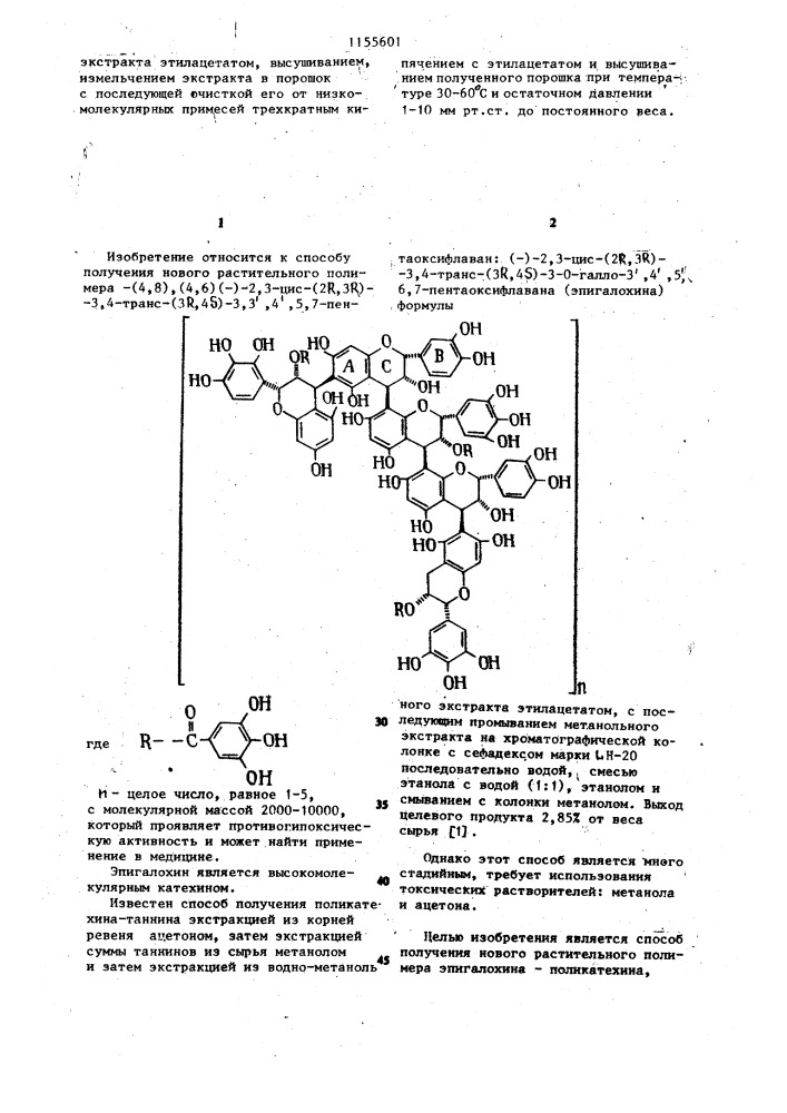 Способ получения растительного полимера-эпигалохина (патент 1155601)
