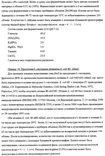 Способ получения l-треонина с использованием бактерии, принадлежащей к роду escherichia, в которой инактивирован кластер генов sfmacdfh-fimz или ген fimz (патент 2333953)