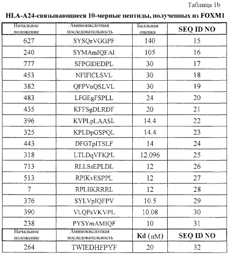 Пептиды foxm1 и вакцины, содержащие их (патент 2560431)