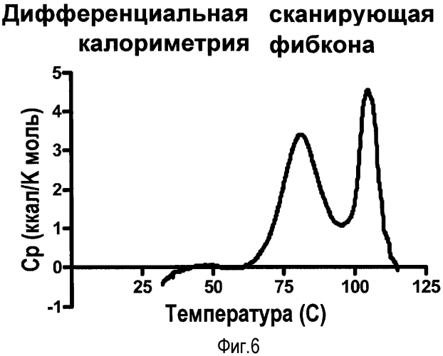 Композиции, способы получения и применение каркаса на основе домена фибронектина типа iii (патент 2562700)