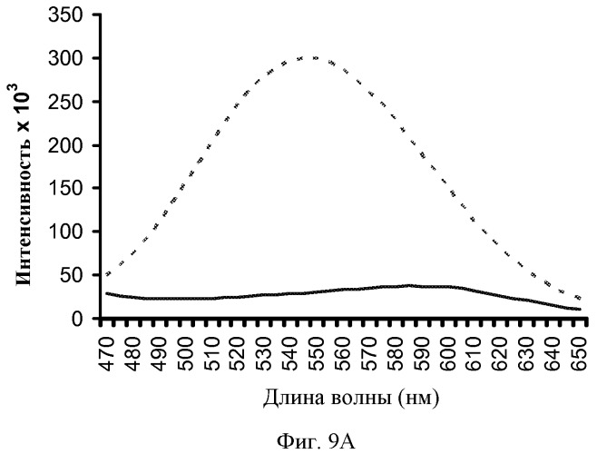 Агенты, связывающиеся с амилоидами (патент 2517174)