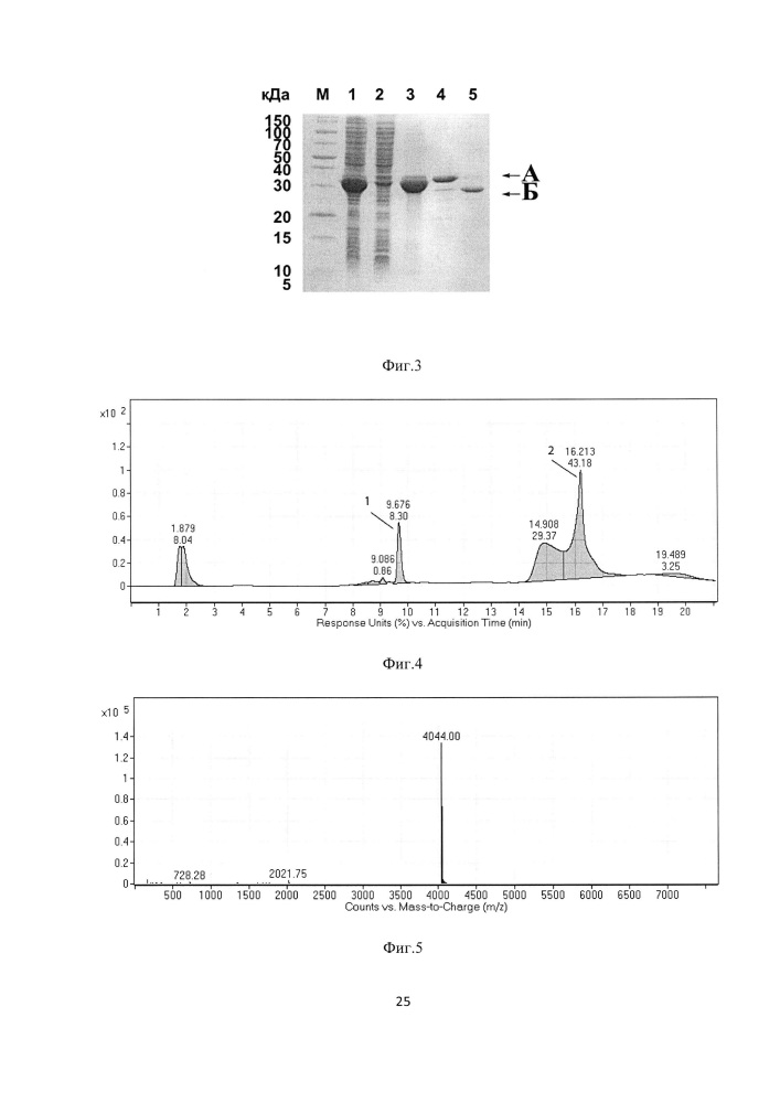 Рекомбинантная плазмидная днк perig-pgs, кодирующая гибридный белок, способный к автокаталитическому расщеплению с образованием антиангиогенного пептида пигастина - производного фрагмента [44-77] фактора роста пигментного эпителия человека, штамм escherichia coli bl21(de3)/perig-pgs - продуцент указанного белка, и способ получения рекомбинантного антиангиогенного пептида (патент 2664199)