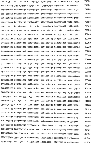 Бактериофаг, обладающий активностью против pseudomonas aeruginosa, белки бактериофага и способы их применения (патент 2580248)