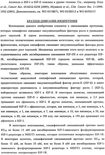 Связывающие протеины, специфичные по отношению к инсулин-подобным факторам роста, и их использование (патент 2492185)