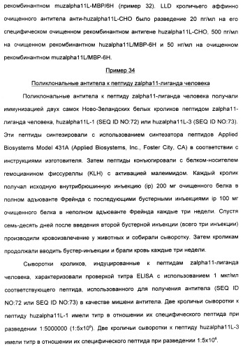 Выделенный полипептид, связывающий рецептор zalpha11-лиганда (варианты), кодирующий его полинуклеотид (варианты), вектор экспрессии (варианты) и клетка-хозяин (варианты) (патент 2346951)